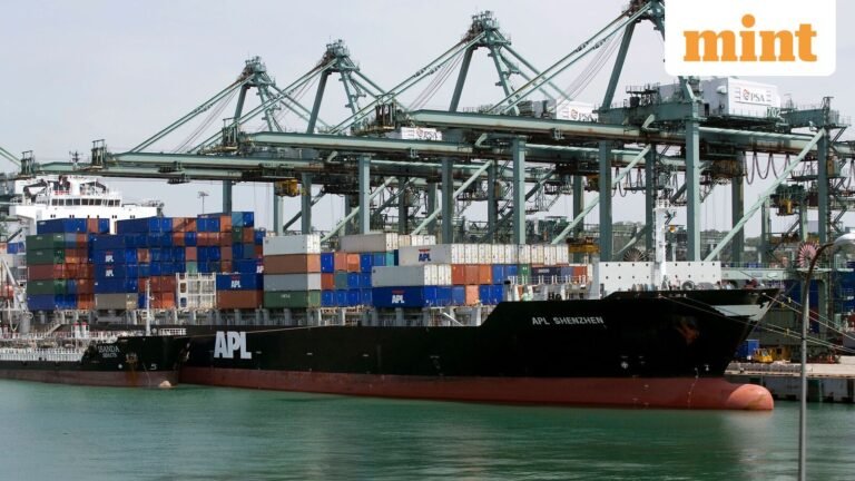 India Considers Protection and Indemnity Club for Shipping Lines Amid War Uncertainty | Today’s news