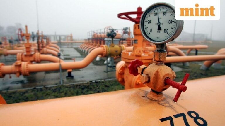 Amid the cooking gas crisis, the government to encourage states to promote the adoption of PNG | Today’s news