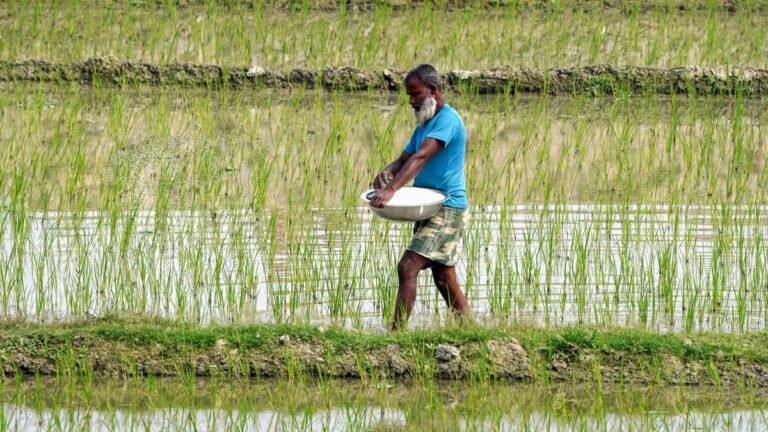 No need to panic, country has sufficient stock of fertilizers for kharif: Union Govt