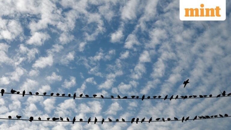 Weather Today: IMD issues rain warning for Delhi, Uttar Pradesh; Snowfall in Kashmir — See Full Forecast | Today’s news