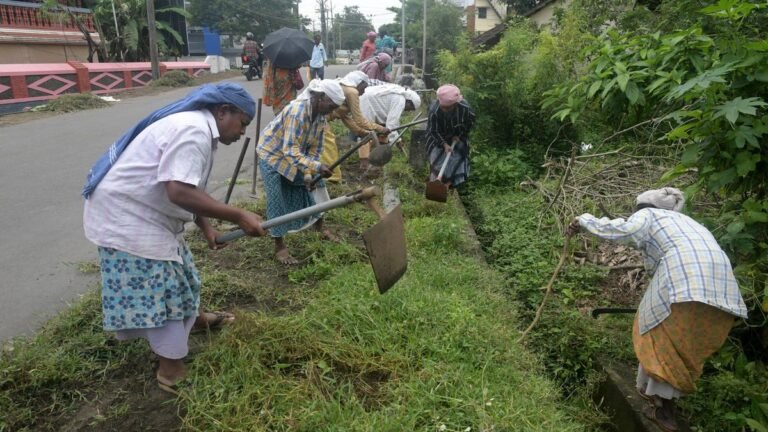 Rural workers victim of snakebite in Kerala