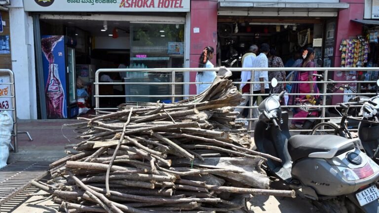 LPG crisis: Low cooking gas revives firewood economy in rural and semi-urban Karnataka
