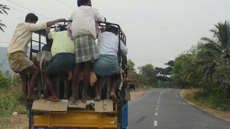 The government hopes to complete 7,110 km of rural roads in the next 1.5 years