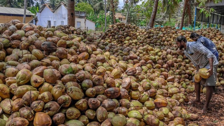 Coconut farmers are facing tough times as tensions in West Asia have hit export orders