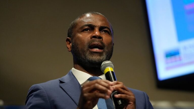 Illinois Primary: Two Black Democrats — Lt. Govt. Stratton and La Shawn Ford — won key nominations | Today’s news