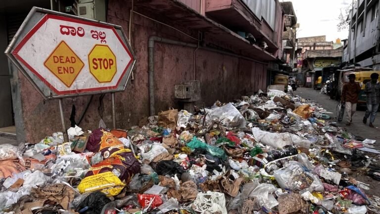 Corporations write to BSWML seeking more vehicles to address growing concern over black spots on garbage in Bengaluru