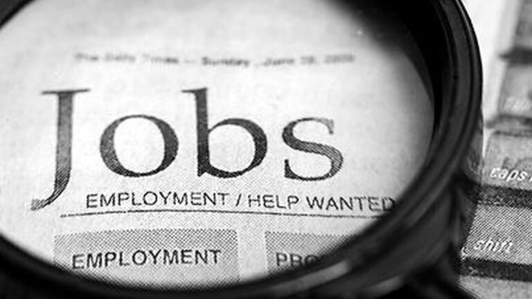 Most jobs are created in agriculture, the report says