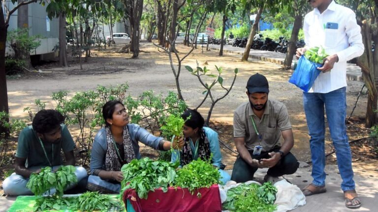 Students of Telangana approached vegetable vendors in Sangareddy Collectorate to understand the agricultural cycle