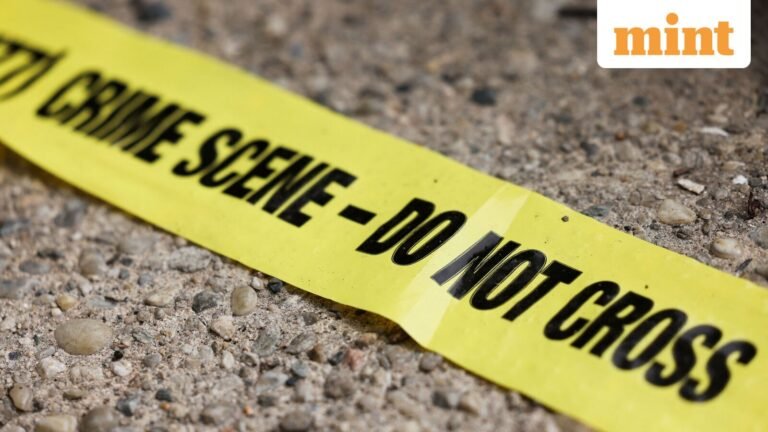 Russian Barron Trump and ‘jealousy’: Matvei Rumiantsev attacked a woman during a video call, gets 4 years in prison | Today’s news