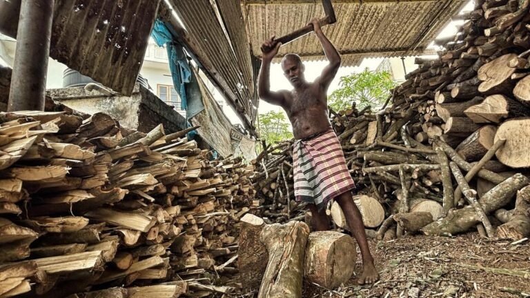 Firewood to the rescue as LPG is scarce