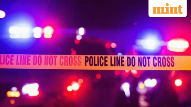 Bus carrying Indian pilgrims plunges down hill, killing seven in Nepal’s Gandaki | Today’s news