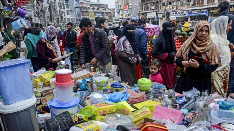 After six days, normalcy returns to Kashmir; The DGP says that there is constant pressure on anti-national elements