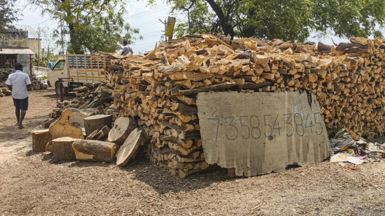 Felling of trees prohibited due to likely increase in demand for firewood