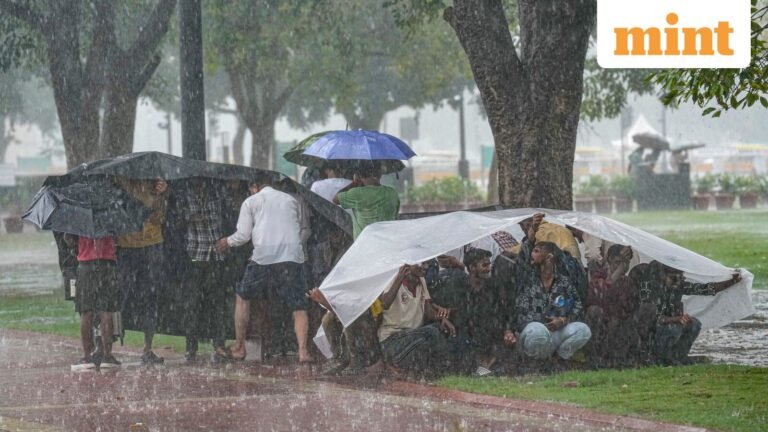 Delhi-NCR under yellow alert for rain, dust storm amid western disturbances | Today’s news