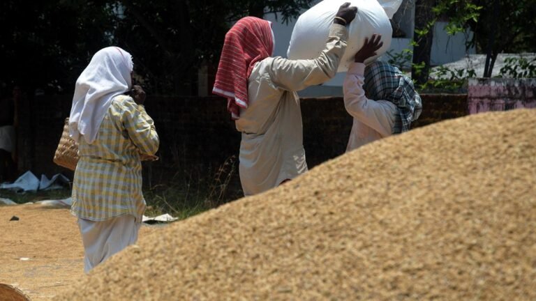 Paddy purchase chaos deepens in Palakkad