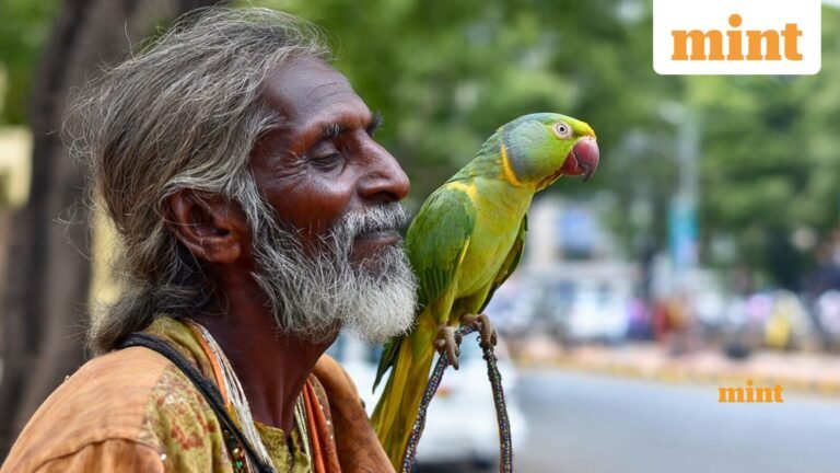 Bengaluru: Income tax official loses ₹ 31 lakh after trusting parrot; astrologer runs away with gold, silver, cash | Today’s news