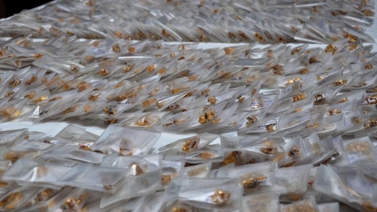 Private Member’s Bill on gold pledges presented