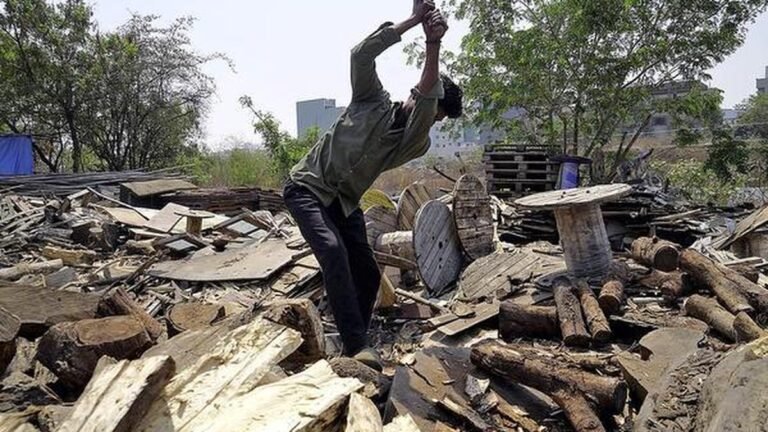 The shortage of LPG in Kerala has spurred the demand for firewood