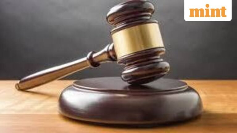 ‘Either resign or….’: Allahabad HC comes down hard on Sambhal SP, DM over mosque crowd restriction | Today’s news