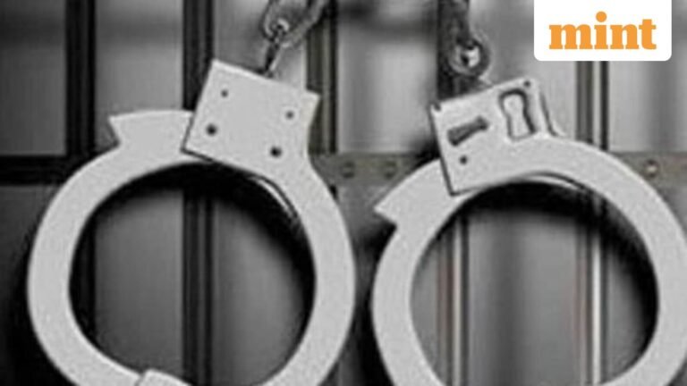 Eleven Indians indicted in US for staged shop robberies and visa fraud | Today’s news