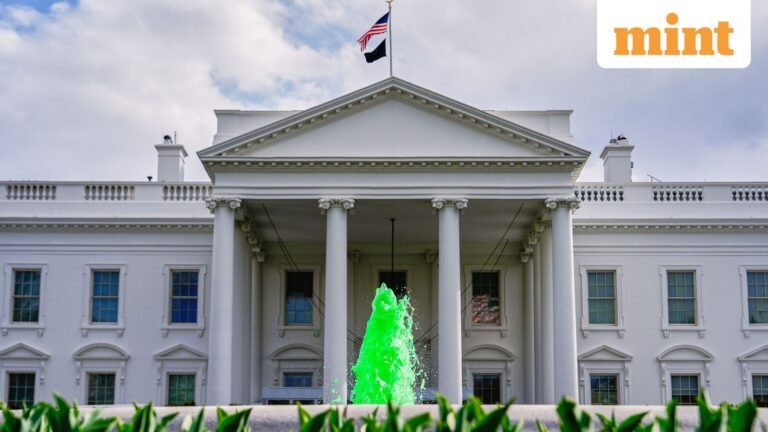 St. Patrick’s Day at the White House: Green-themed plates, shamrock cookies — what was in the Irish spread? Follow | Today’s news