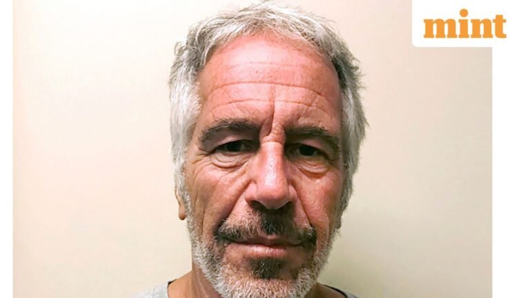 Epstein’s guard Googled ‘Epstein jail update’ minutes before he was found dead, Justice Department files reveal | Today’s news