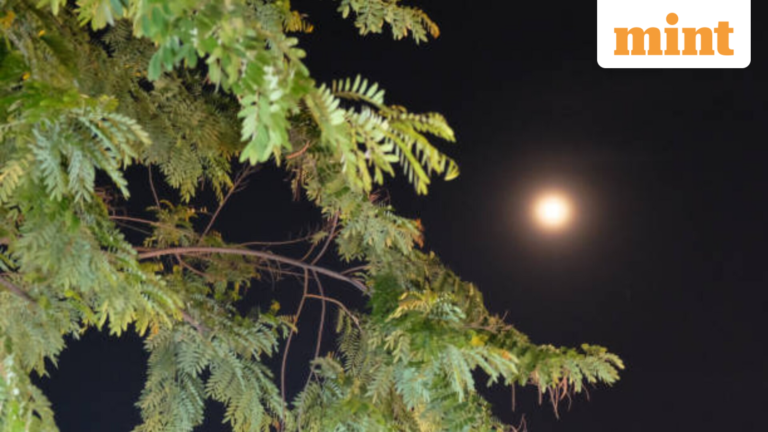 Moon sighting time in India LIVE: When Shawwal crescent visible in Delhi, Mumbai, Hyderabad | Today’s news