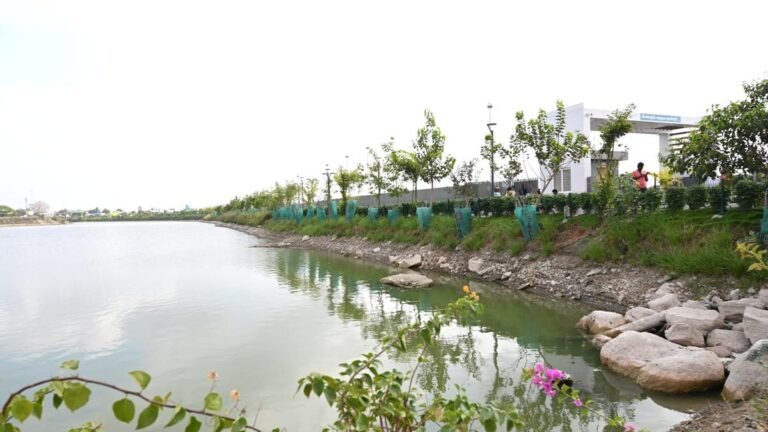 Work begins on the construction of jetties at the Edapalayam irrigation tank near Tiruvannamalai town