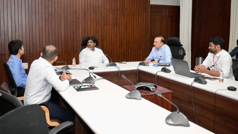 Power distribution companies ready to handle 19,000MW demand efficiently, says Bhatti