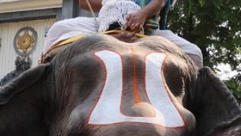 A grand pearl procession celebrates the celestial wedding of Lord Rama and Sita in Tirupati