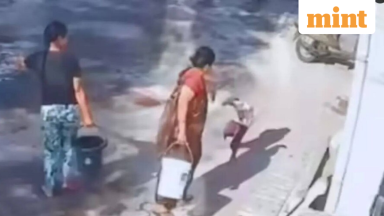 Nagpur: Grandmother pours boiling water on 4-year-old grandson to spray paint on Holi, child suffers 45% burns | Today’s news