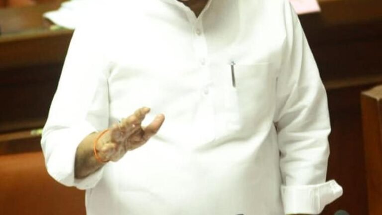 No proposal to increase fixed charge in domestic electricity tariff, says government