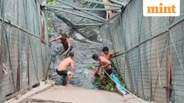 Delhi tragedy: How ‘hundreds’ of students were saved from 60ft iron bridge collapse, killing one woman | Today’s news