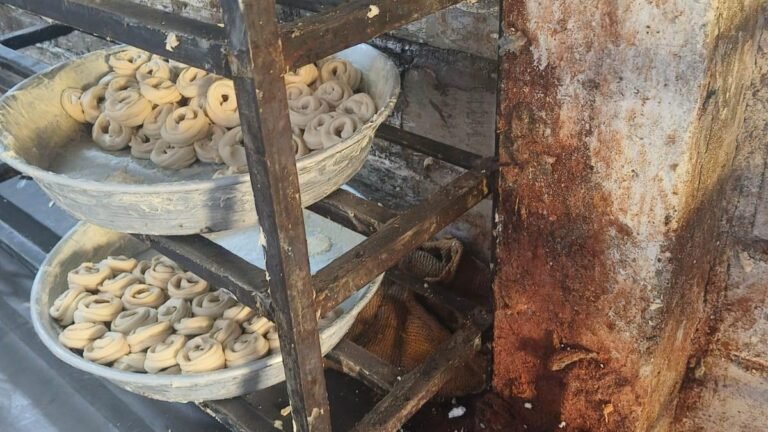 Substandard pheni manufacturing unit arrested in Jiyaguda, one held