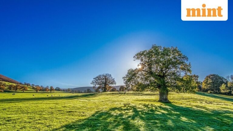 How are these big cities reducing pollution? London, San Francisco and Beijing offer travel map | Today’s news