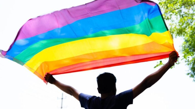 ‘Trans law pushed back a decade’: Community members oppose proposed changes to transgender law