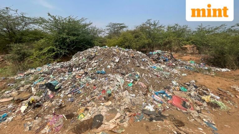 Government plans digital tracking of companies’ waste, credit shops | Today’s news