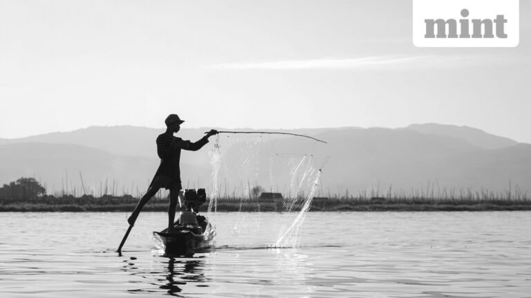 Mint Explainer: Why is India betting big on trout, mahseer and cold water? | Today’s news