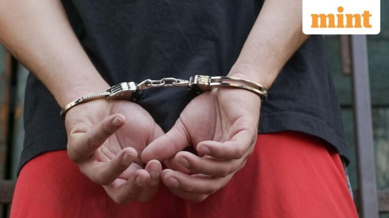 Boys face consequences under POCSO for consensual teenage relationships, says Madras High Court | Today’s news