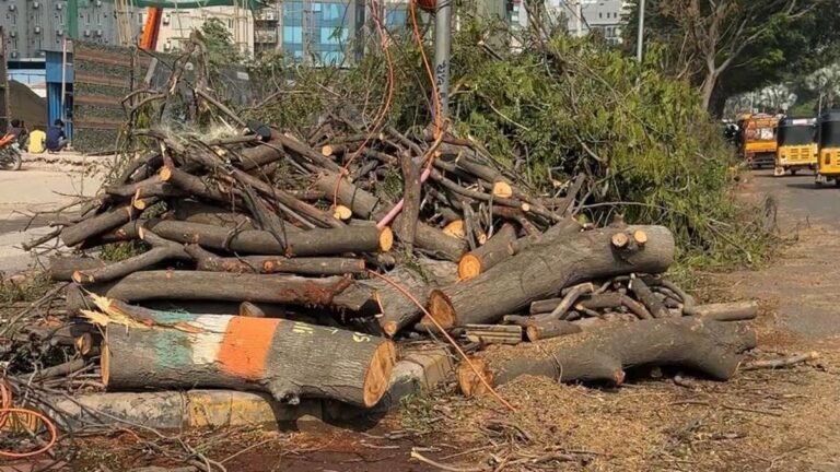 Many trees were cut down in Manikonda to make way for the road project