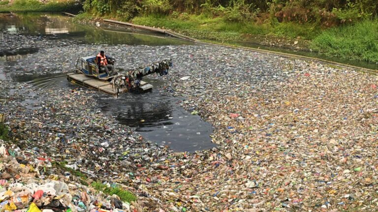 Eluru canal choked with garbage; municipal authorities call it a temporary problem
