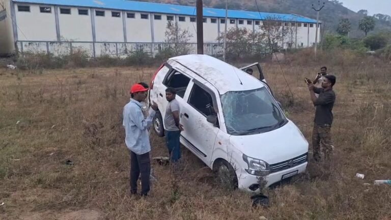 Forest Department seizes 500 kg of red sanders near Gudiyatham