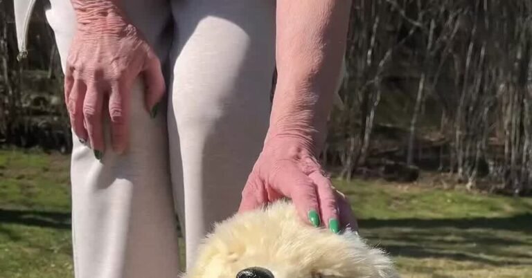 Aging in place: How technology can help you age at home