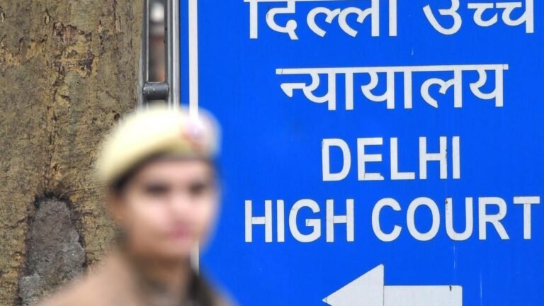 Delhi HC questions police over allegations of illegal detention and torture of activists