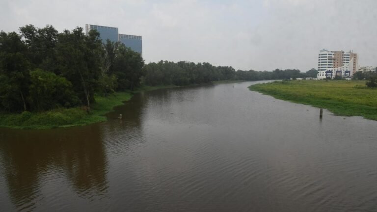 Kadambrayar pollution: local authorities urged to step up enforcement