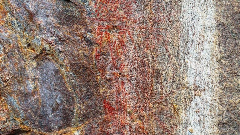 A rock art site rediscovered in the Nilgiris