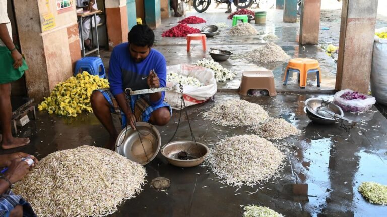 Tamil Nadu Elections 2026: Farmers in Nilakottai constituency want government perfume factory