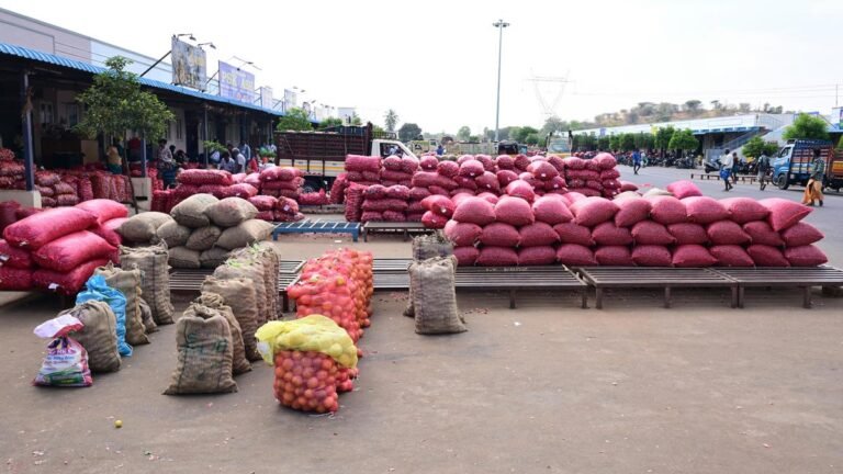 Tamil Nadu Elections 2026: Oddanchatram Constituency Needs Agriculture Industry