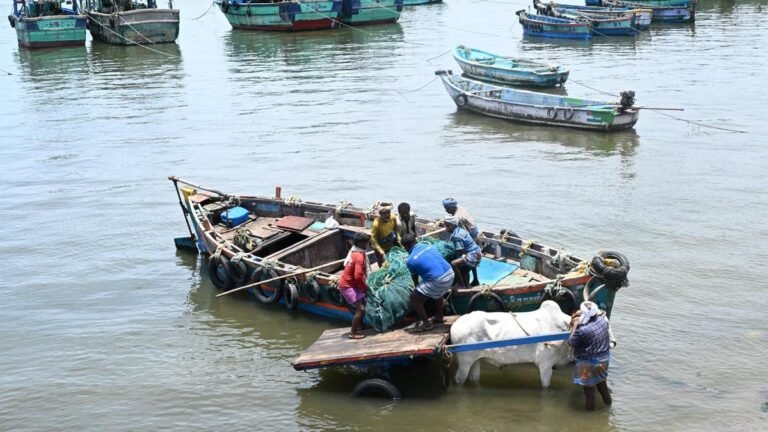 Annual fishing ban begins in coastal Tamil Nadu from 15