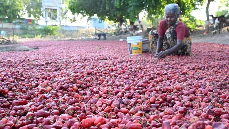 Tamil Nadu Elections 2026: Mudukulathur constituency expects its rightful share of Vaigai waters